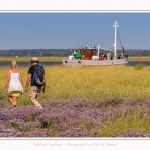 Baliseur_Somme_II_Cap_Hornu_25_07_2016_021-border