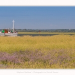 Baliseur_Somme_II_Cap_Hornu_25_07_2016_024-border