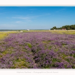 Commandant_Charcot_Cap_Hornu_25_07_2016_001-border
