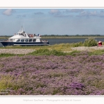 Commandant_Charcot_Cap_Hornu_25_07_2016_008-border