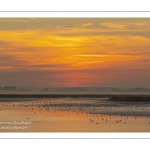 Lever de soleil sur la baie de Somme près de Saint-Valery