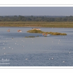 Pirogue et kayak en baie de Somme