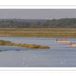 Pirogue et kayak en baie de Somme