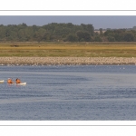 Pirogue et kayak en baie de Somme