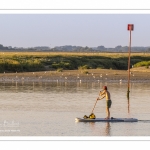 Paddle à l'entrée du port de Saint-Valery