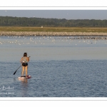 Paddle à l'entrée du port de Saint-Valery