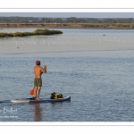 Paddle à l'entrée du port de Saint-Valery