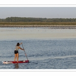 Paddle à l'entrée du port de Saint-Valery