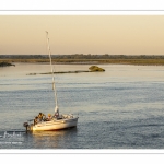voilier de retour au port