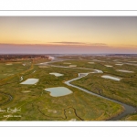 Les mollières de la baie de Somme en fond de baie