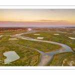 Les mollières de la baie de Somme en fond de baie