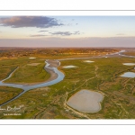 Les mollières de la baie de Somme en fond de baie