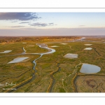 Les mollières de la baie de Somme en fond de baie