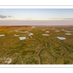 Les mollières de la baie de Somme en fond de baie