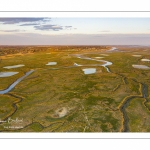 Les mollières de la baie de Somme en fond de baie