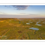 Les mollières de la baie de Somme en fond de baie