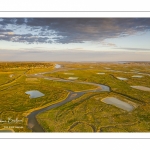 Les mollières de la baie de Somme en fond de baie