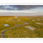 Les mollières de la baie de Somme en fond de baie