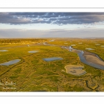 Les mollières de la baie de Somme en fond de baie