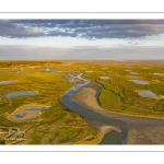 Les mollières de la baie de Somme en fond de baie