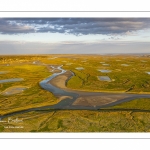 Les mollières de la baie de Somme en fond de baie