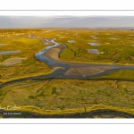 Les mollières de la baie de Somme en fond de baie