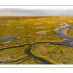 Les mollières de la baie de Somme en fond de baie