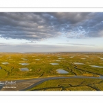 Les mollières de la baie de Somme en fond de baie