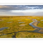 Les mollières de la baie de Somme en fond de baie