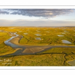 Les mollières de la baie de Somme en fond de baie