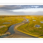 Les mollières de la baie de Somme en fond de baie