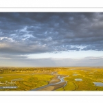 Les mollières de la baie de Somme en fond de baie