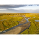 Les mollières de la baie de Somme en fond de baie