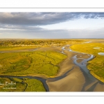 Les mollières de la baie de Somme en fond de baie