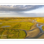 Les mollières de la baie de Somme en fond de baie