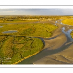 Les mollières de la baie de Somme en fond de baie