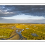 Les mollières de la baie de Somme en fond de baie