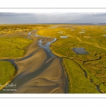 Les mollières de la baie de Somme en fond de baie