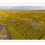 Les mollières de la baie de Somme en fond de baie