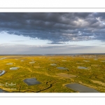 Les mollières de la baie de Somme en fond de baie