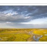 Les mollières de la baie de Somme en fond de baie