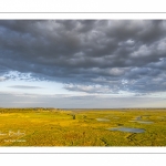 Les mollières de la baie de Somme en fond de baie