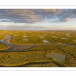 Les mollières de la baie de Somme en fond de baie