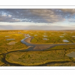 Les mollières de la baie de Somme en fond de baie