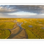 Les mollières de la baie de Somme en fond de baie