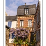 La maison à la glycine à saint-Valery