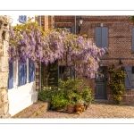 La maison à la glycine à saint-Valery