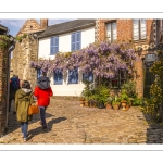 La maison à la glycine à saint-Valery