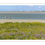 Promeneurs le long du chenal de la Somme au Cap Hornu