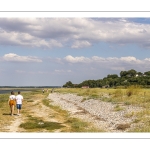 Promeneurs le long du chenal de la Somme au Cap Hornu